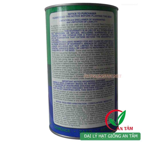 Hạt giống măng tây xanh UC-800