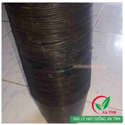 Chậu nhựa mềm trồng cây Chậu nhựa mềm trồng cây