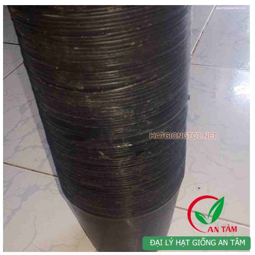 Chậu nhựa mềm trồng cây