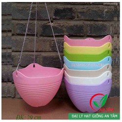 Chậu treo trồng hoa móc sắt Chậu treo trồng hoa móc sắt