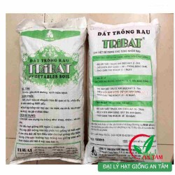 Đất trồng rau mầm