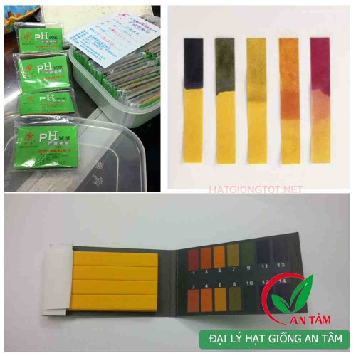 Giấy quỳ tím đo PH
