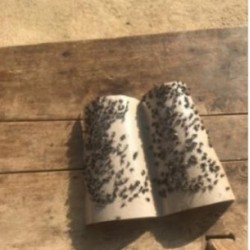 Keo dính ruồi nhặng muỗi Keo dính ruồi nhặng muỗi