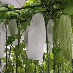 Túi bao trái cây vải không dệt