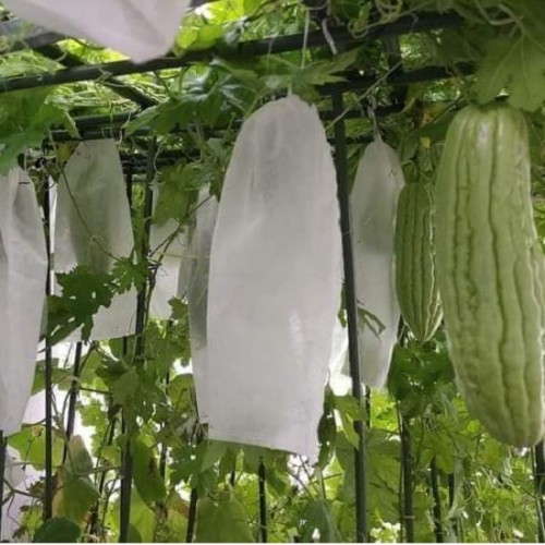 Túi bao trái cây vải không dệt