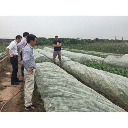 Vải không dệt Passlite 2.1m x 20m
